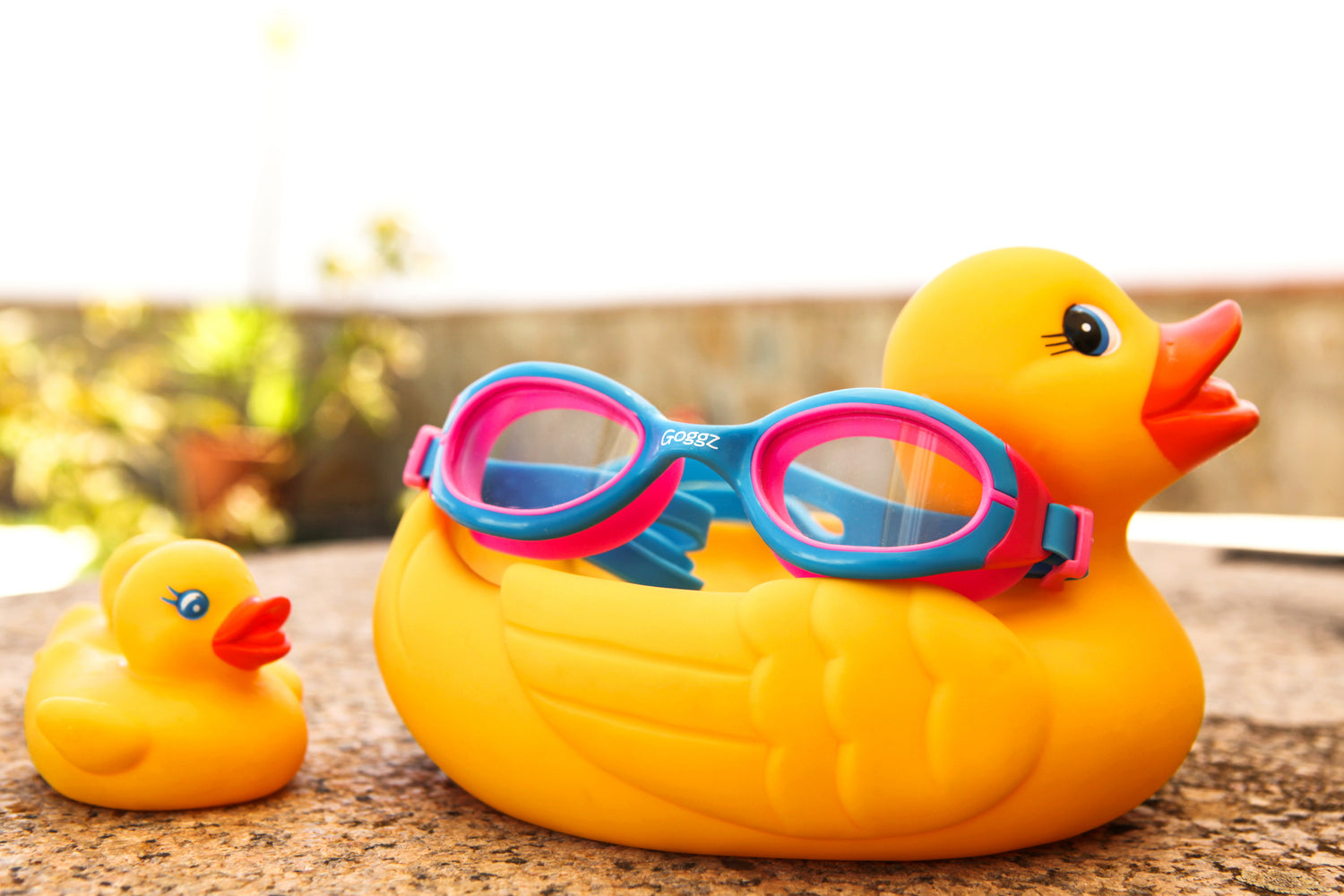 Rubber Ducks with Vazquez Pink Goggz Kids Swimming Goggles - Quirky and Fun Bath Time Accessories